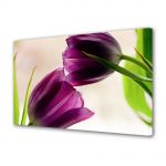 Tablou Canvas Flori Doua lalele violet